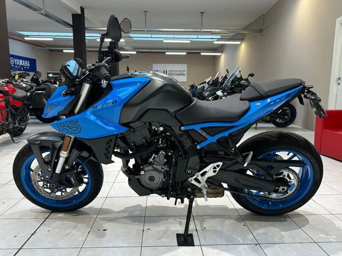 Suzuki GSX-8S (2023 - 24) (3)