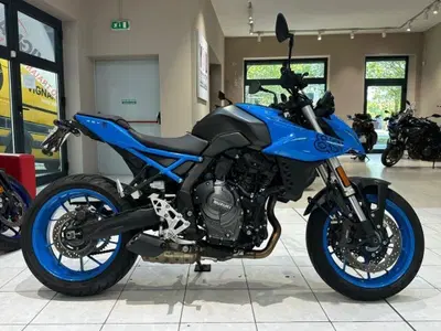 Suzuki GSX-8S (2023 - 24) usata
