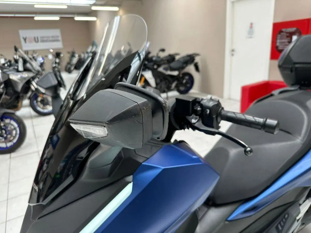 Honda Forza 125 Deluxe (2023 - 24) (6)