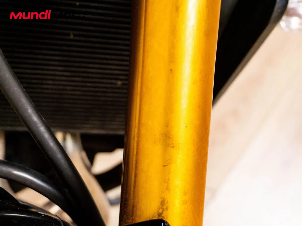 Yamaha MT-09 (2021 - 23) (14)