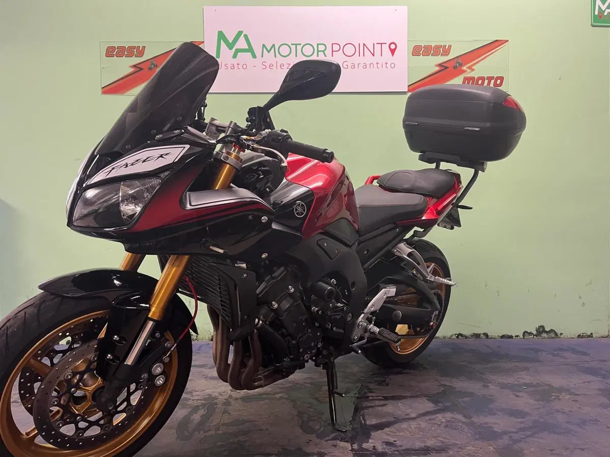 Yamaha FZ1 Fazer (2006 - 16) (3)
