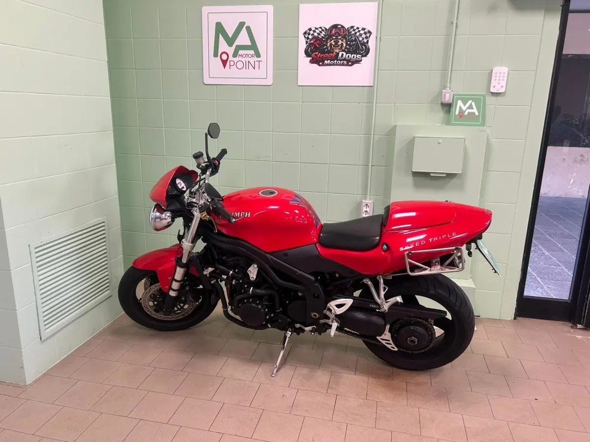 Triumph Speed Triple 955 (2002 - 04) (2)