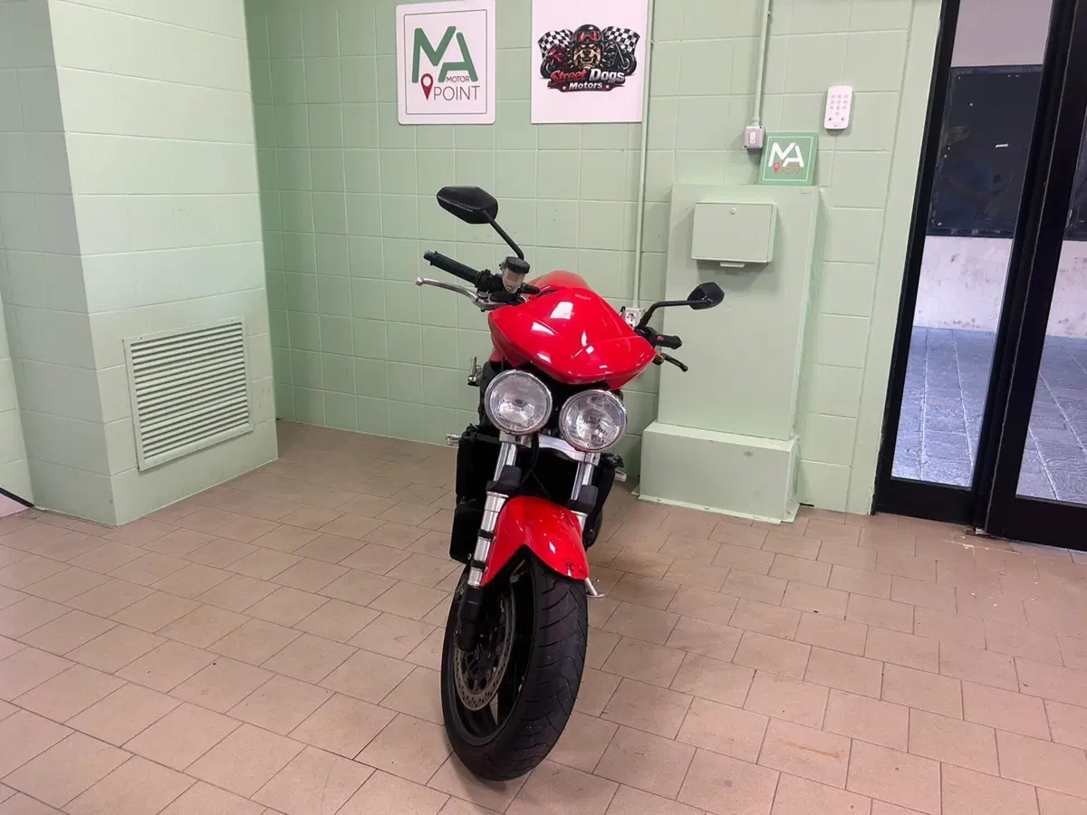 Triumph Speed Triple 955 (2002 - 04) (3)