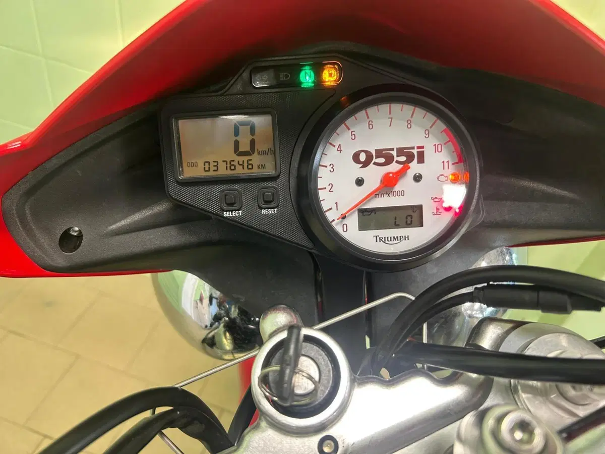 Triumph Speed Triple 955 (2002 - 04) (5)