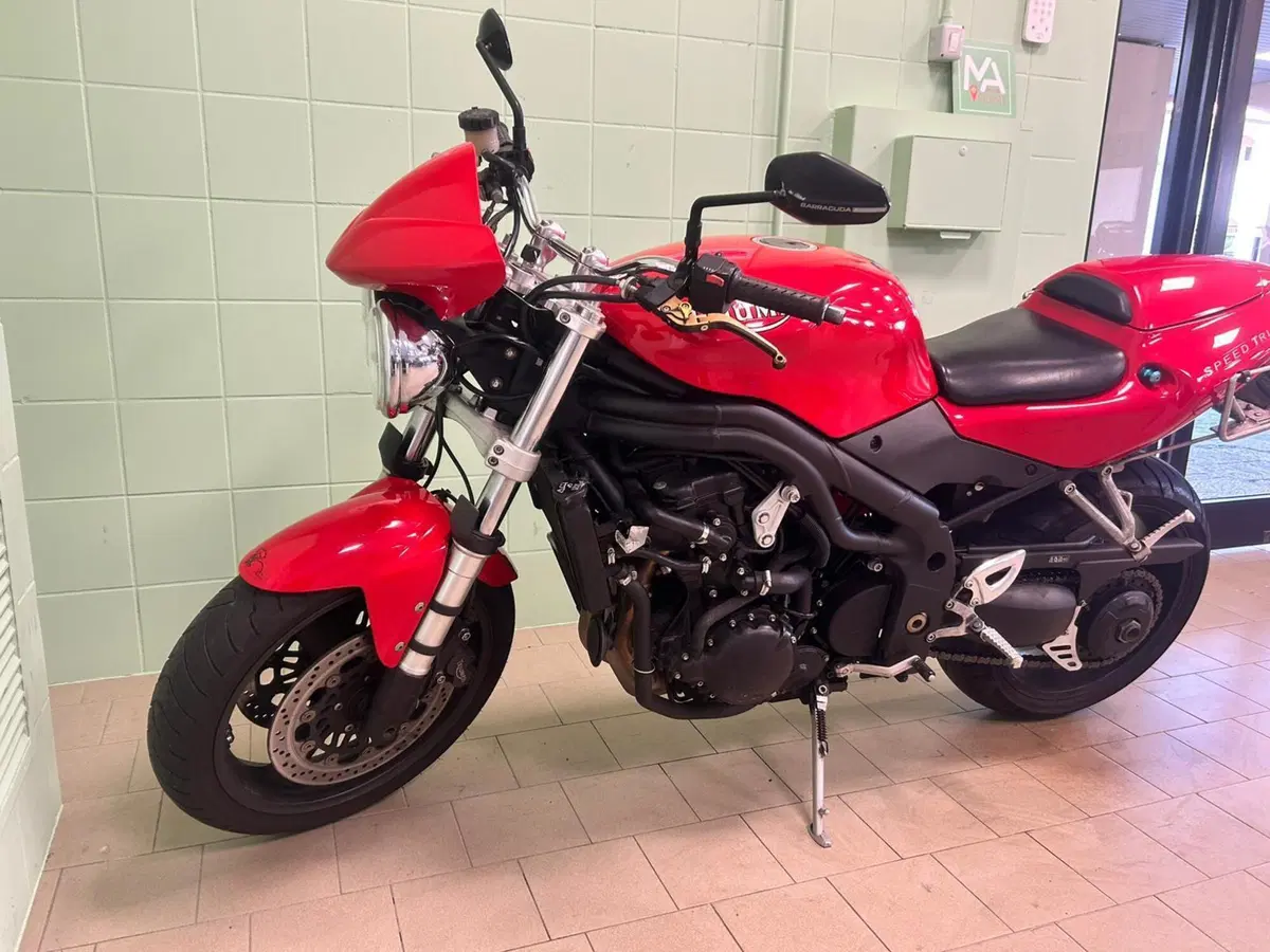 Triumph Speed Triple 955 (2002 - 04) (6)