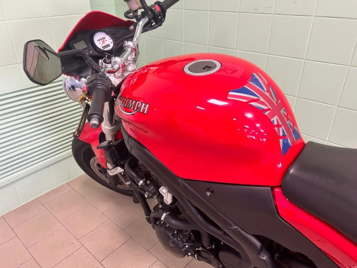 Triumph Speed Triple 955 (2002 - 04) (7)
