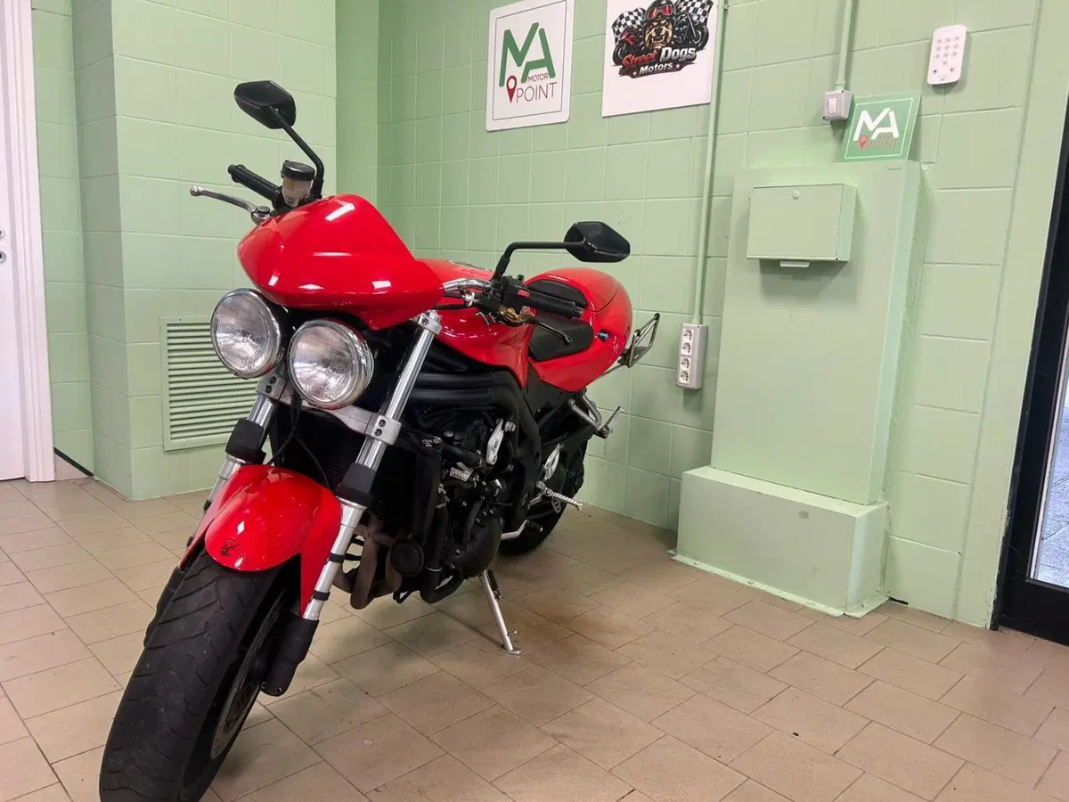 Triumph Speed Triple 955 (2002 - 04) (8)