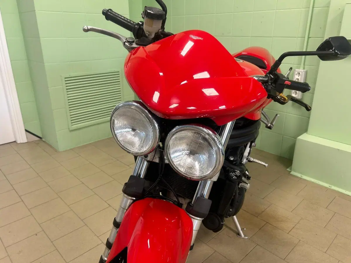 Triumph Speed Triple 955 (2002 - 04) (10)