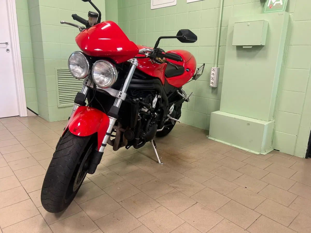 Triumph Speed Triple 955 (2002 - 04) (11)