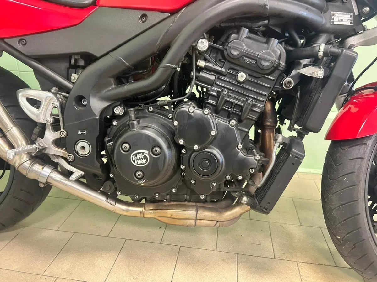 Triumph Speed Triple 955 (2002 - 04) (12)