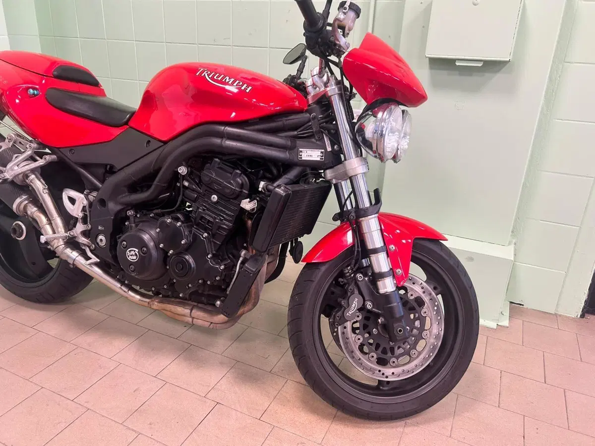 Triumph Speed Triple 955 (2002 - 04) (13)