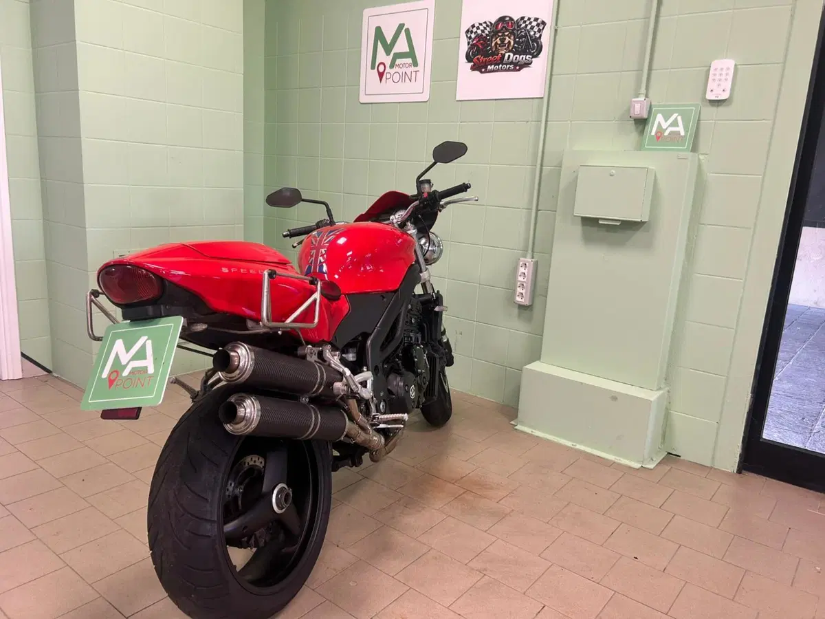 Triumph Speed Triple 955 (2002 - 04) (17)