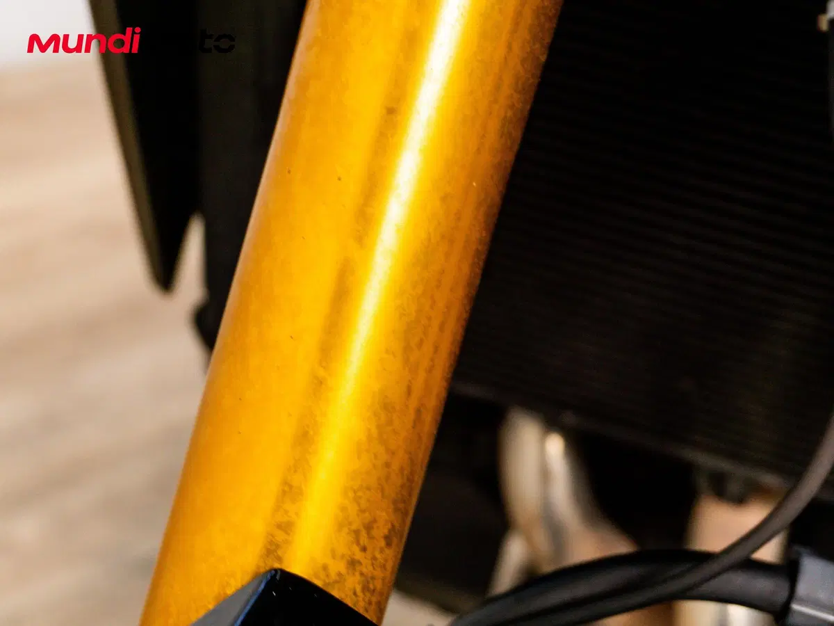 Yamaha MT-09 (2021 - 23) (13)