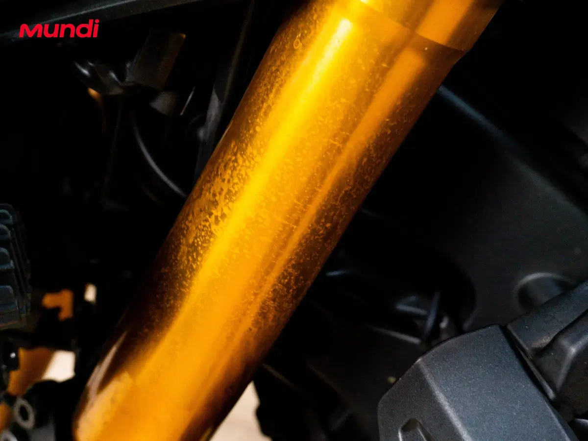 Yamaha MT-09 (2021 - 23) (15)