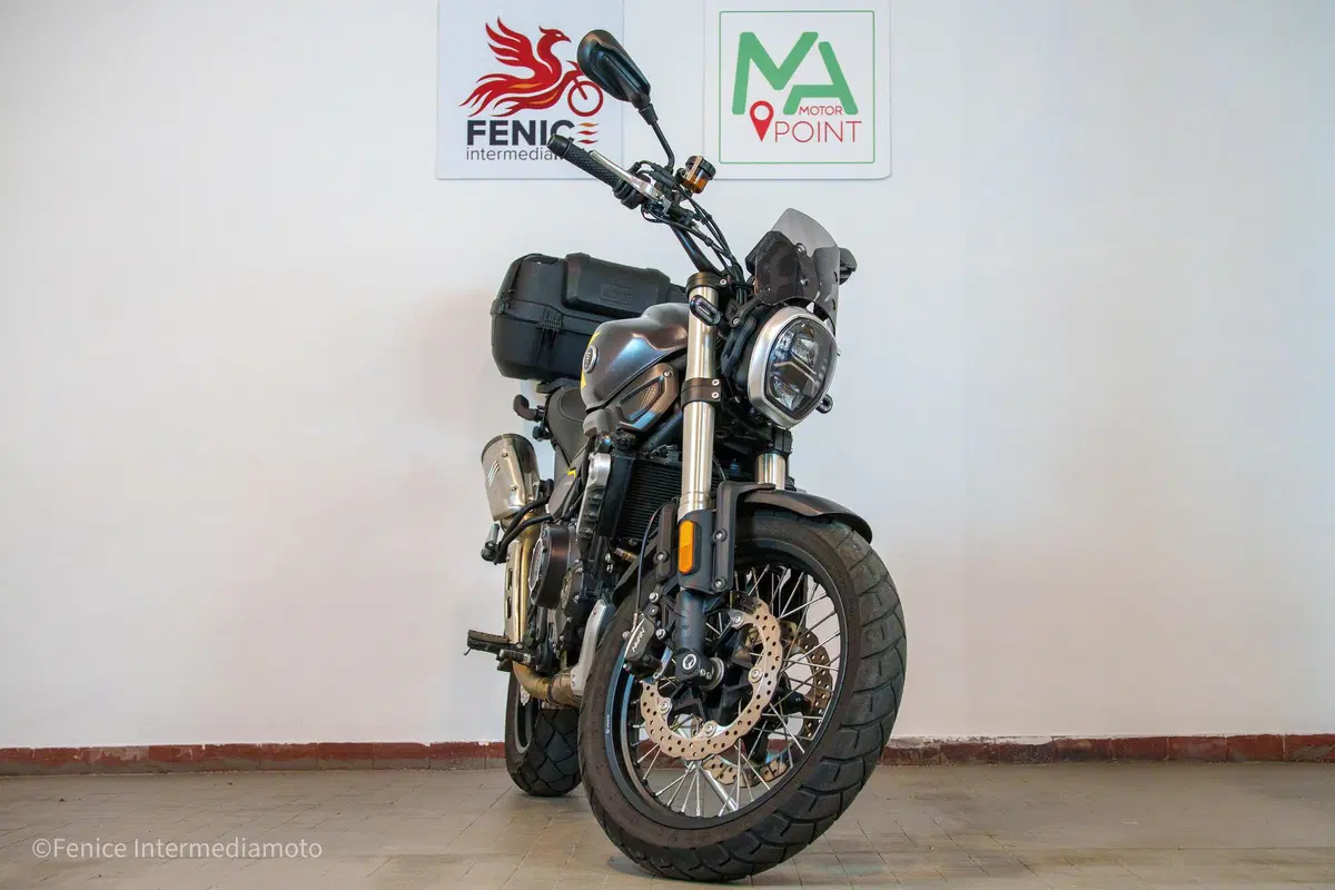 Voge Trofeo 525ACX Scrambler (2023 - 26) (2)