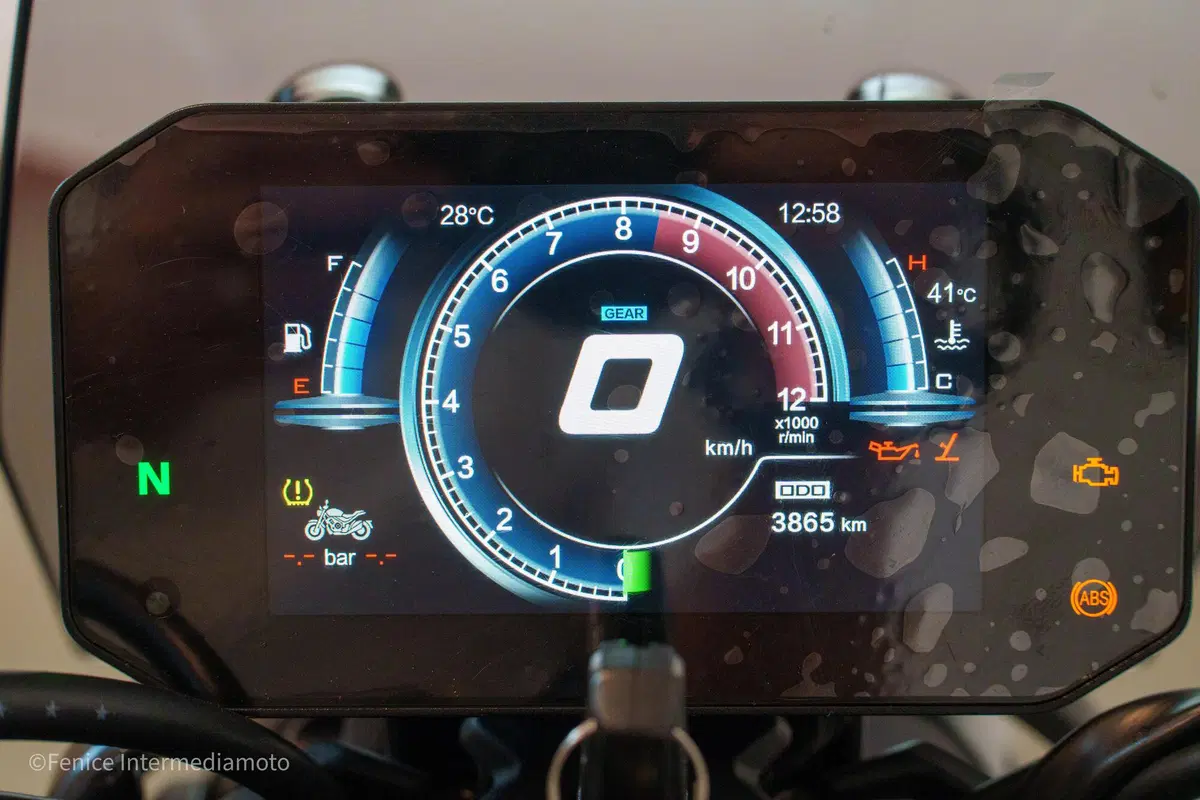 Voge Trofeo 525ACX Scrambler (2023 - 26) (5)