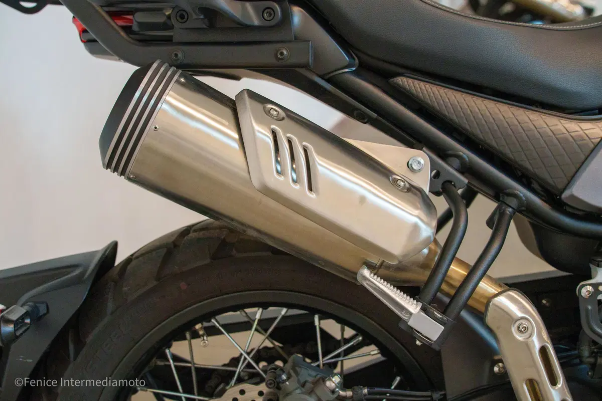 Voge Trofeo 525ACX Scrambler (2023 - 26) (8)