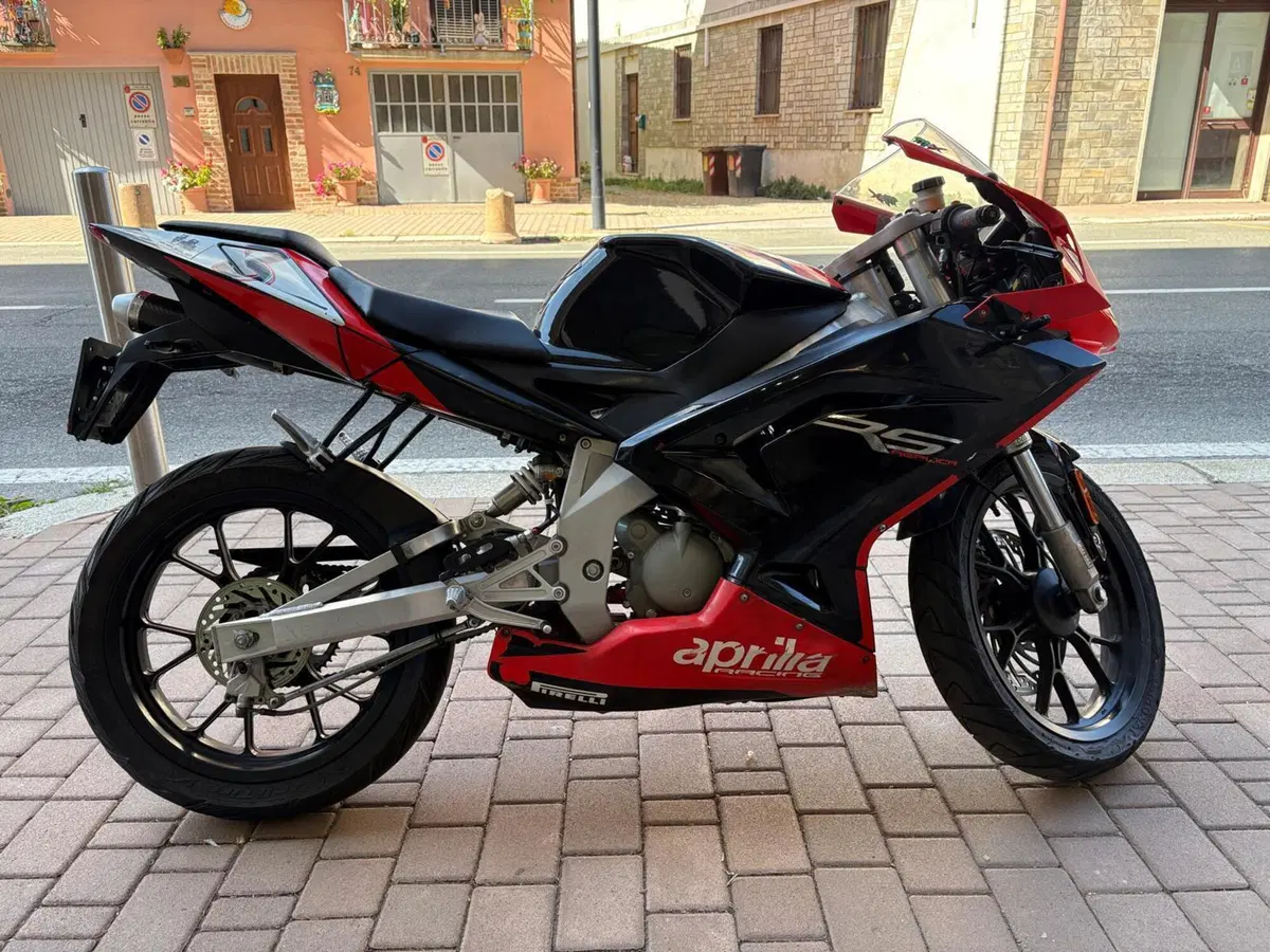Aprilia RS 50 (2006 - 13) (13)