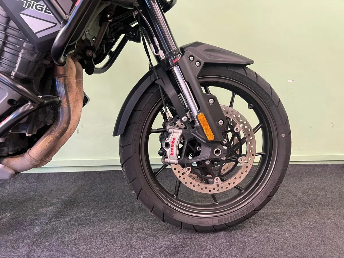 Triumph Tiger 1200 GT Pro (2022 - 23) (12)