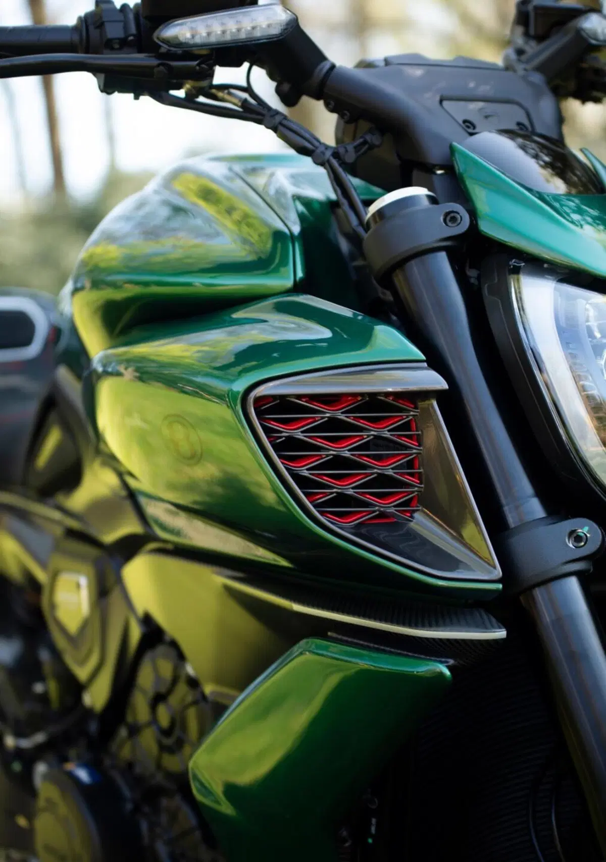 Ducati Diavel for Bentley (2024) (7)