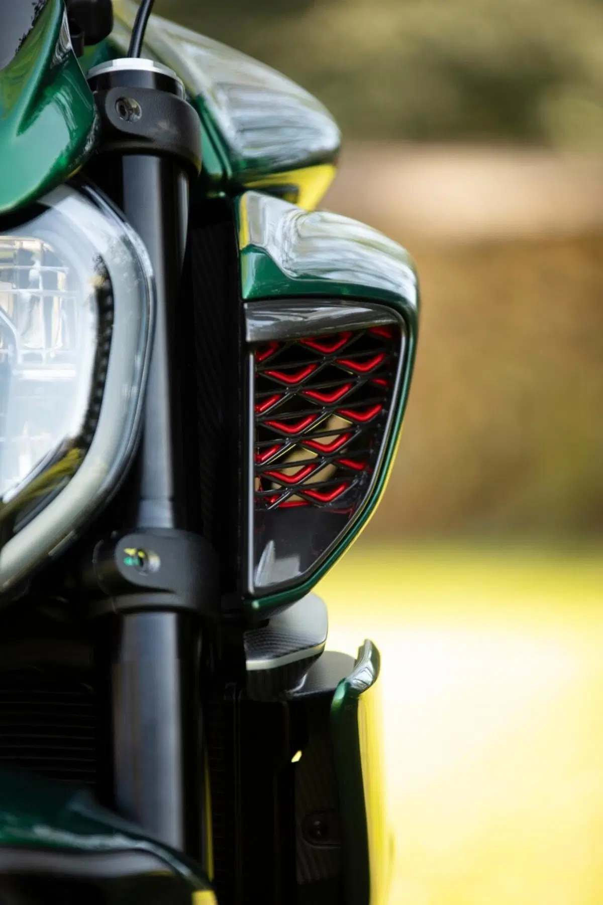 Ducati Diavel for Bentley (2024) (8)