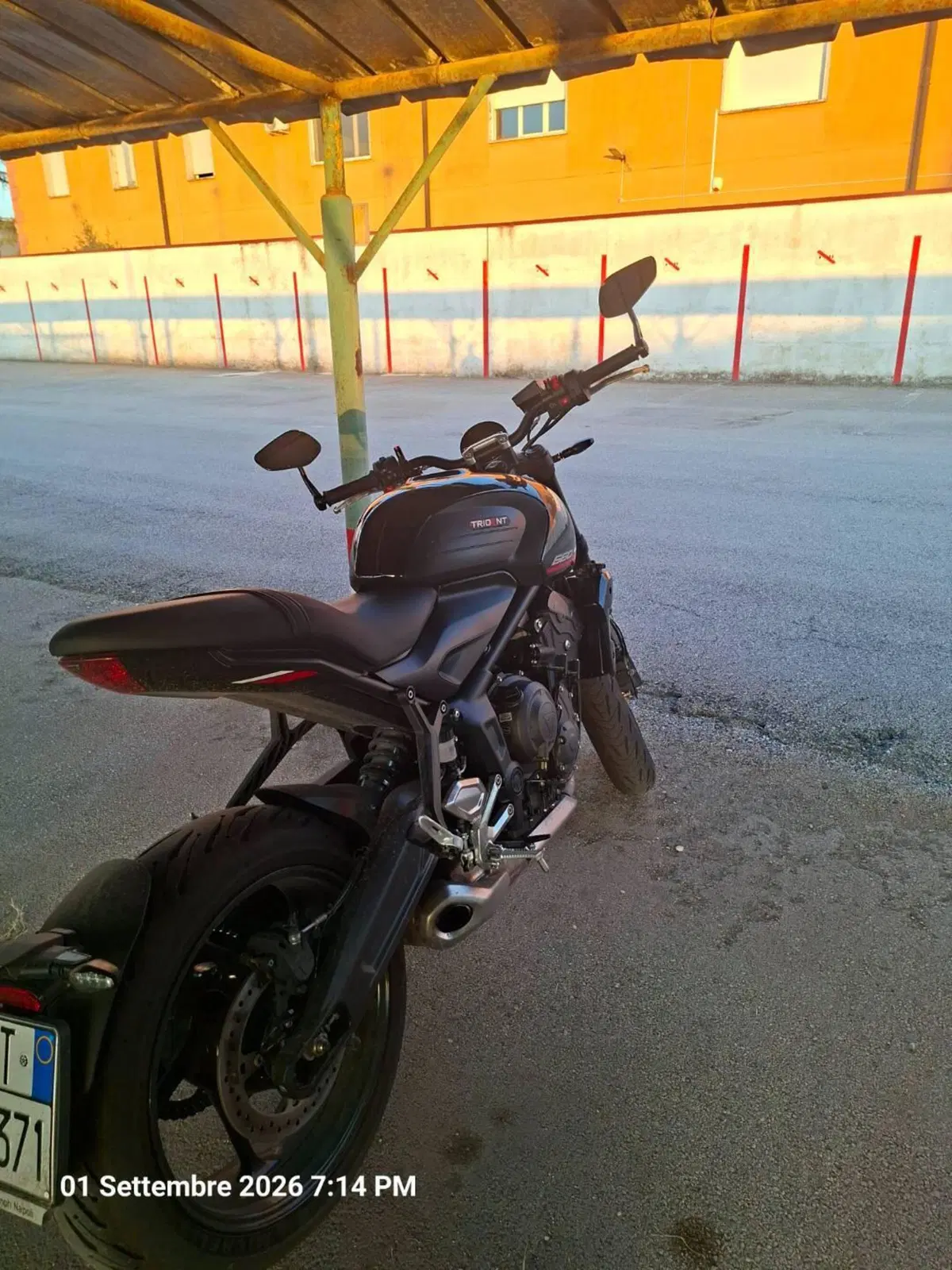 Triumph Trident 660 (2025) (3)
