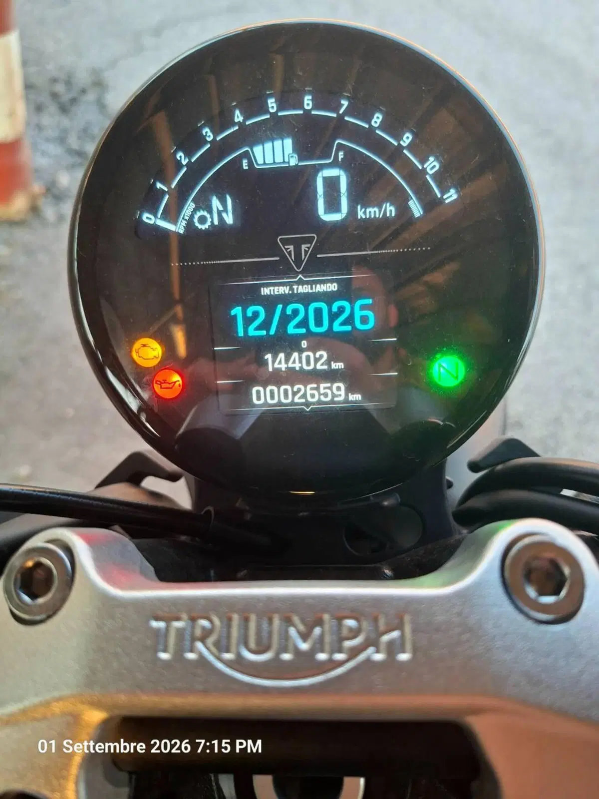 Triumph Trident 660 (2025) (4)