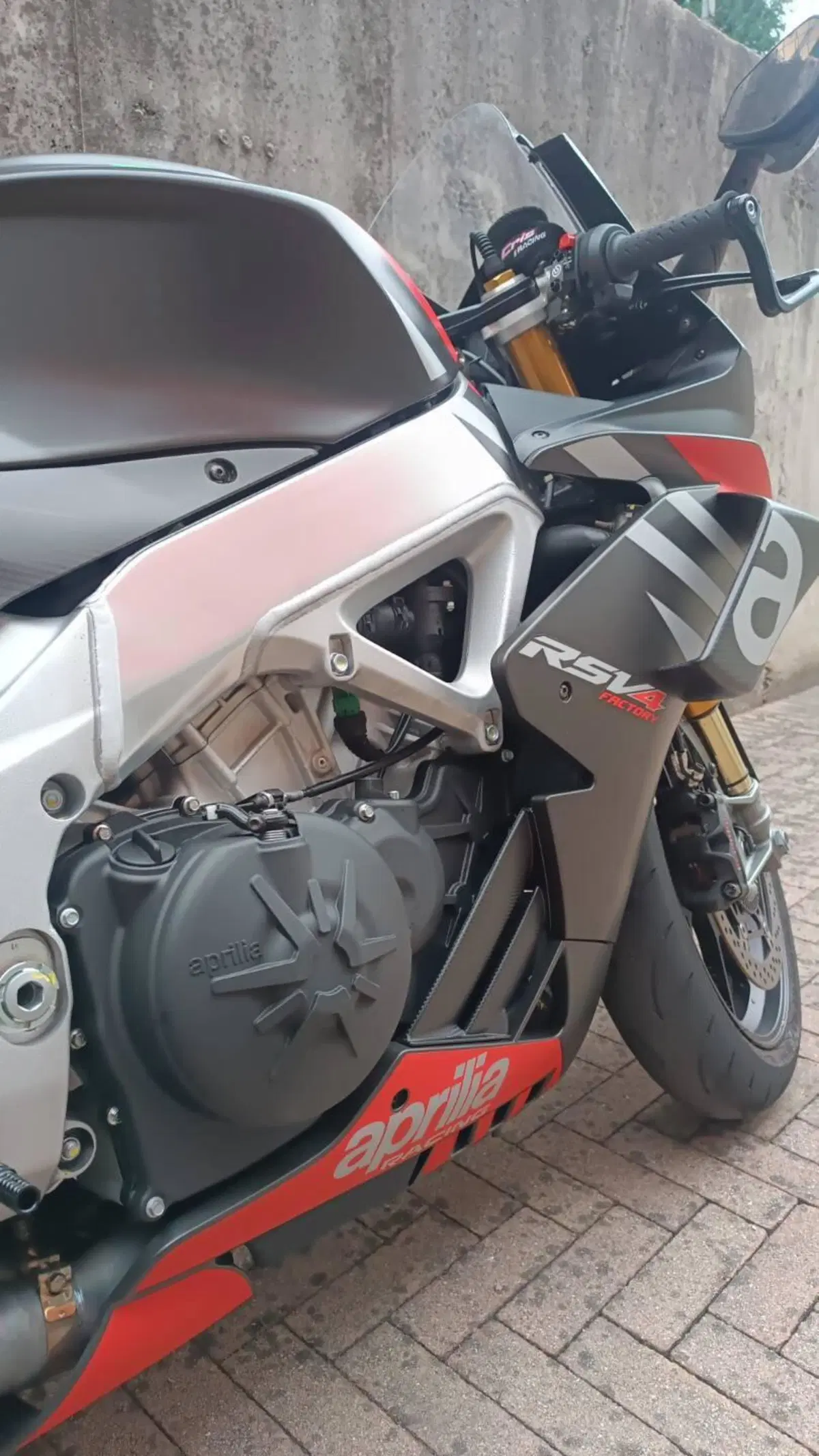 Aprilia RSV4 1100 Factory (2019 - 20) (3)
