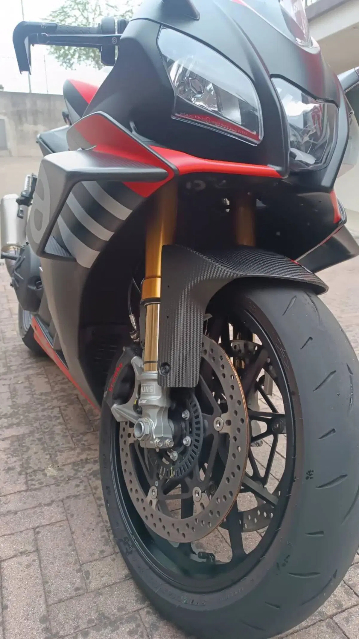 Aprilia RSV4 1100 Factory (2019 - 20) (6)