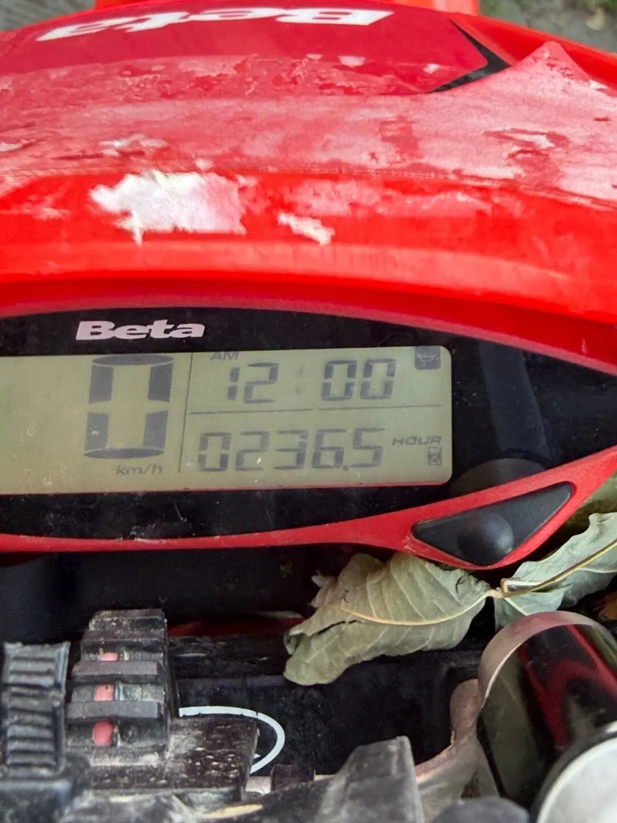 Betamotor RR 300 2T Enduro (2021) (2)