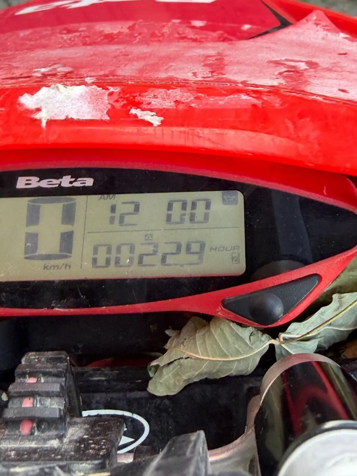 Betamotor RR 300 2T Enduro (2021) (4)