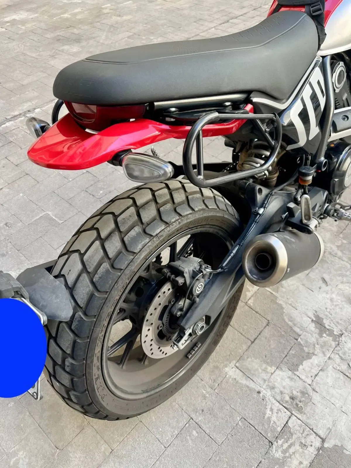 Ducati Scrambler 800 Icon (2023 - 24) (6)