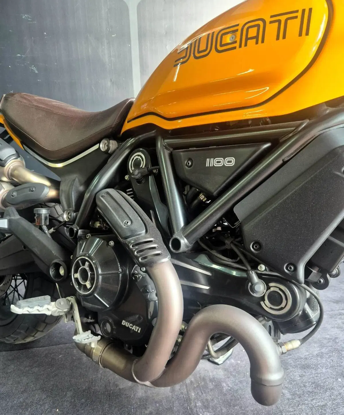 Ducati Scrambler 1100 Tribute Pro (2022 - 24) (6)