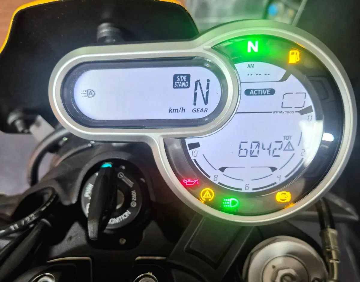 Ducati Scrambler 1100 Tribute Pro (2022 - 24) (9)