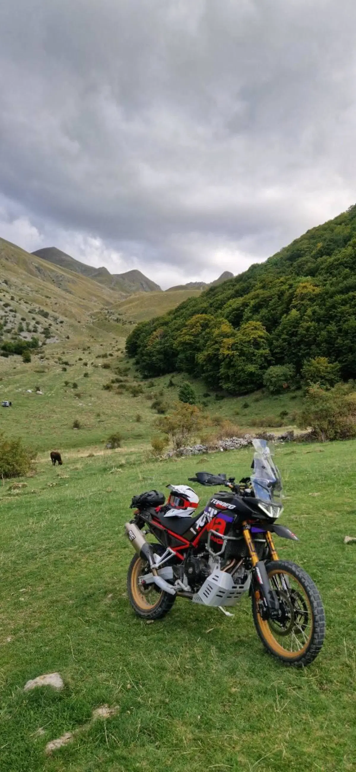 Aprilia Tuareg 660 Rally (2025 - 26) (2)