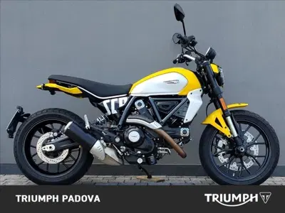 Ducati Scrambler 800 Icon (2025 - 26) usata