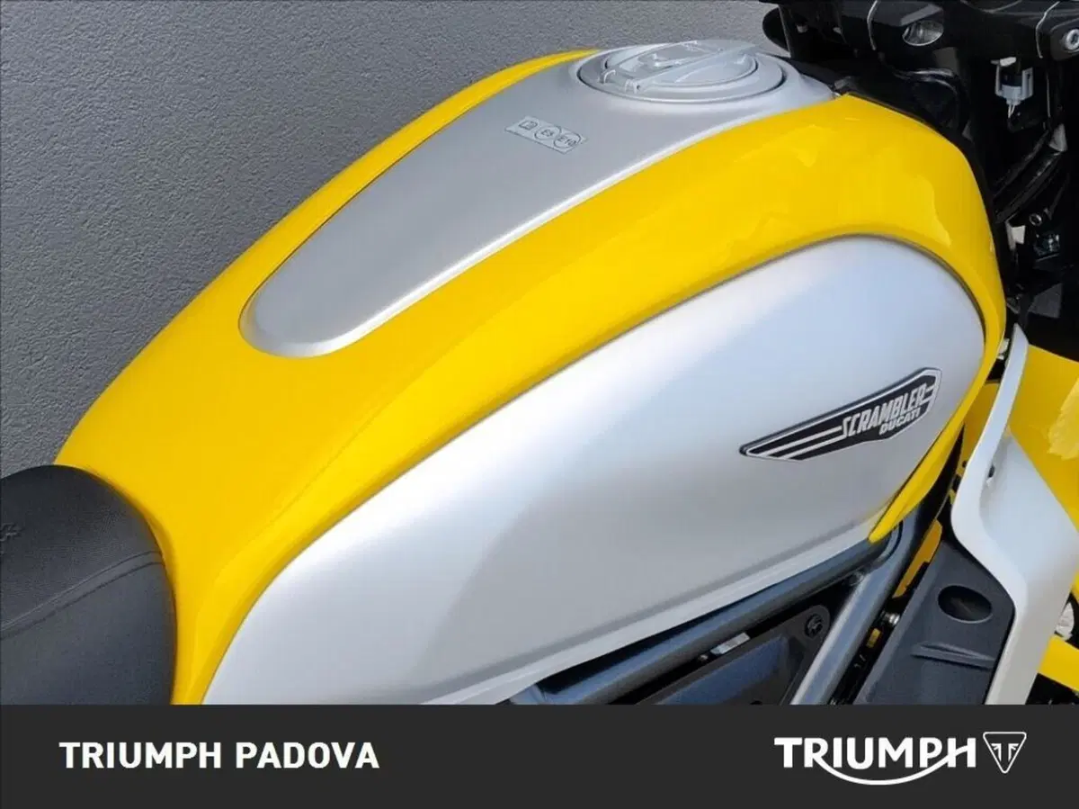 Ducati Scrambler 800 Icon (2025 - 26) (4)