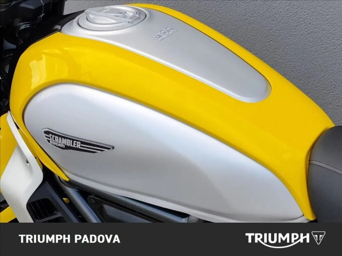 Ducati Scrambler 800 Icon (2025 - 26) (9)