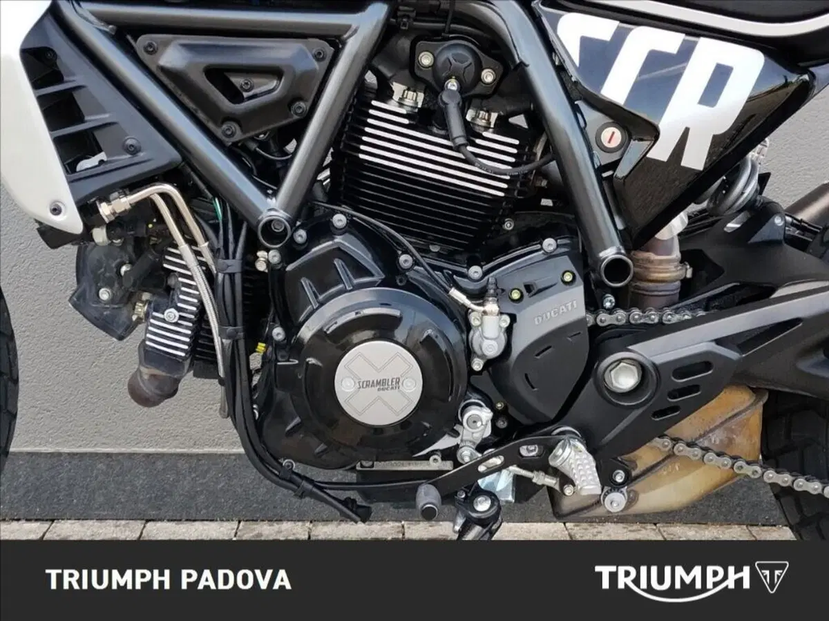 Ducati Scrambler 800 Icon (2025 - 26) (8)