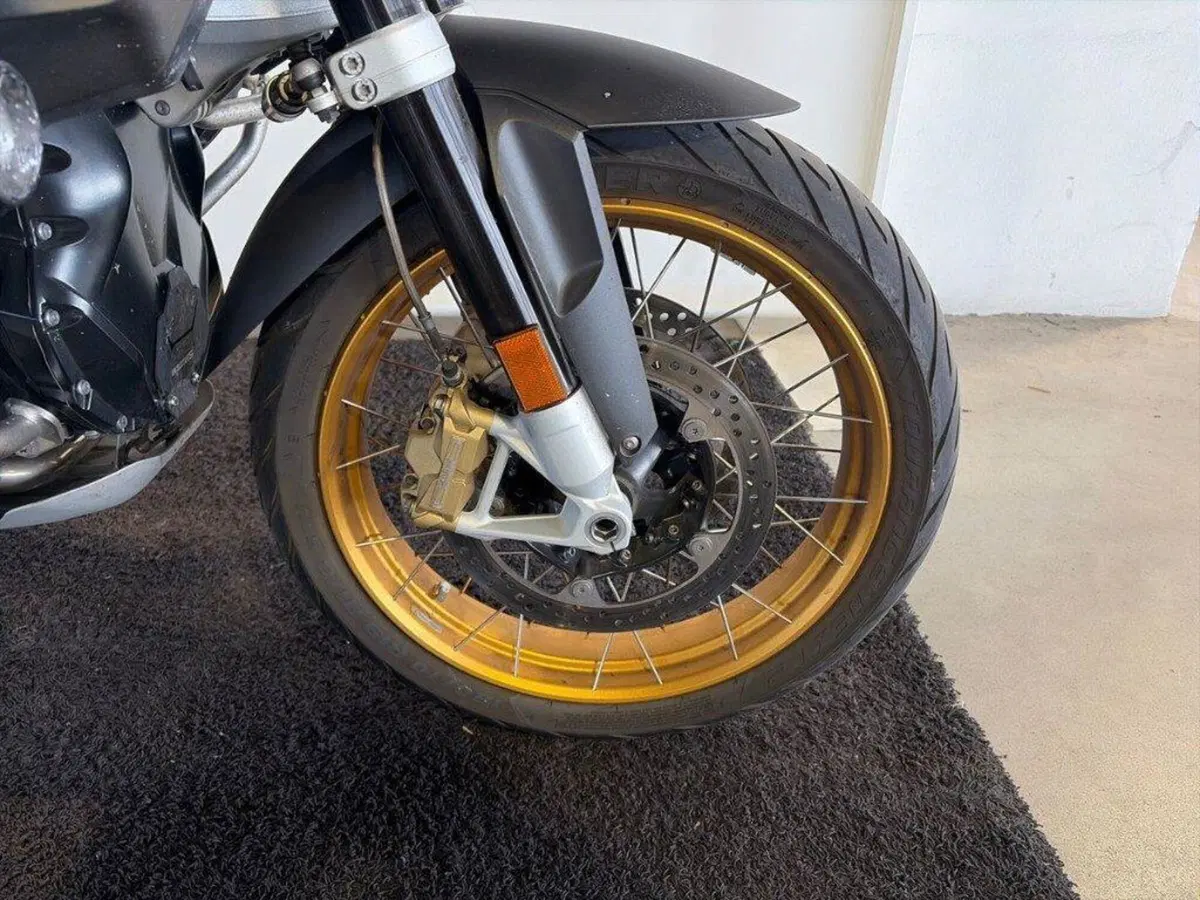 Bmw R 1250 GS Adventure (2019 - 20) (8)