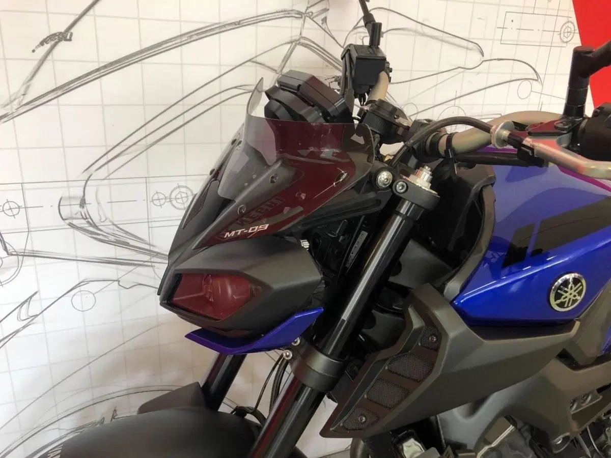 Yamaha MT-09 (2017 - 20) (2)