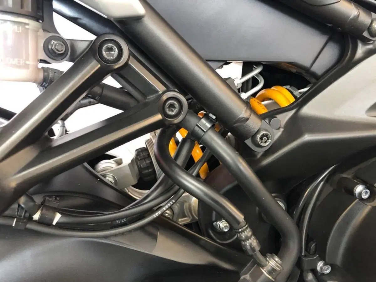 Yamaha MT-09 (2017 - 20) (6)