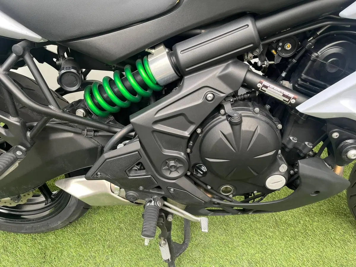Kawasaki Versys 650 ABS (2015 - 16) (6)