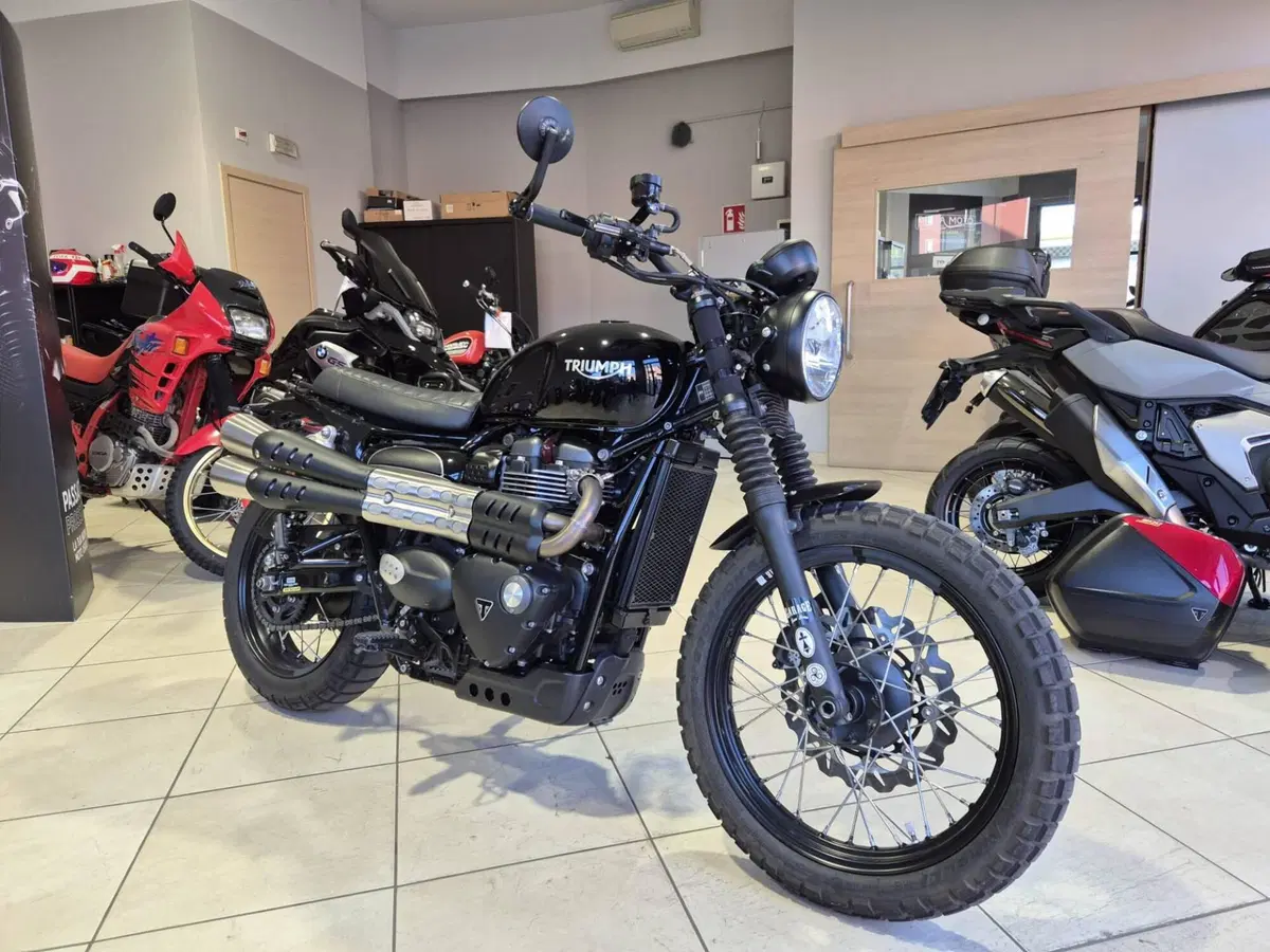 Triumph Street Scrambler 900 (2017 - 18) (2)