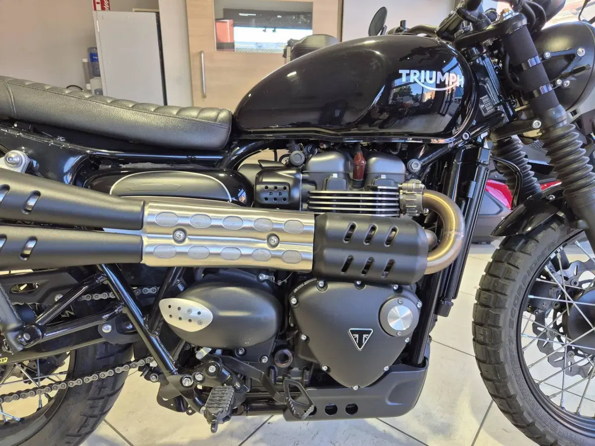 Triumph Street Scrambler 900 (2017 - 18) (9)