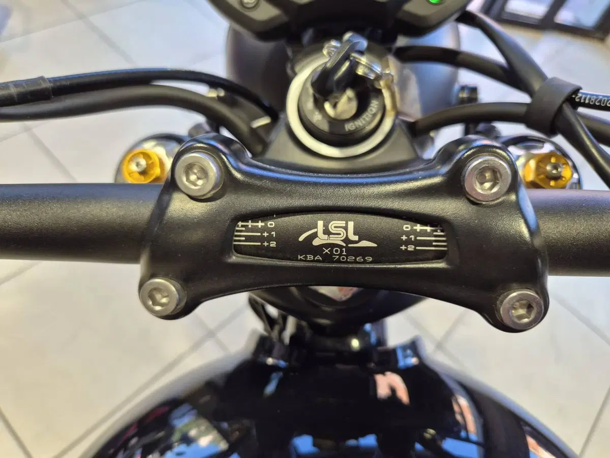 Triumph Street Scrambler 900 (2017 - 18) (10)