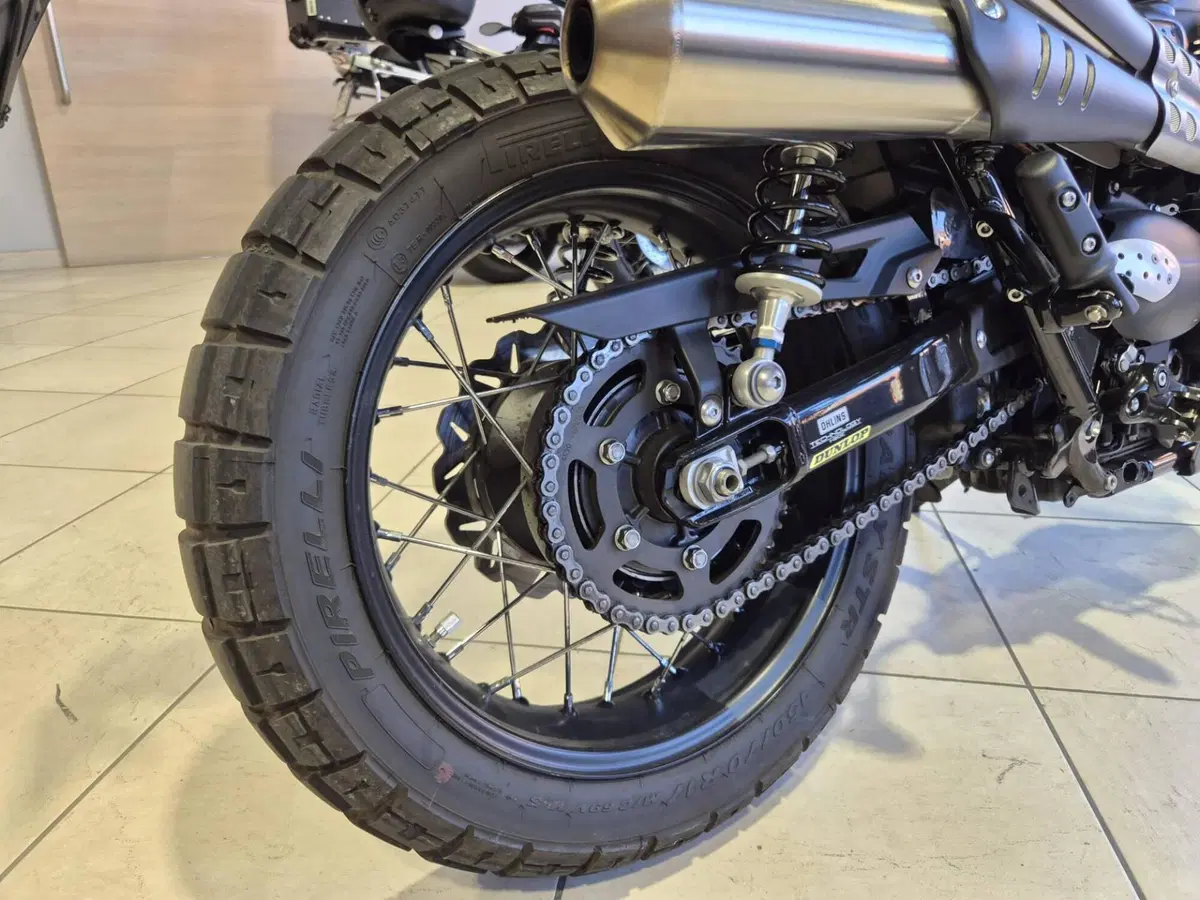 Triumph Street Scrambler 900 (2017 - 18) (13)