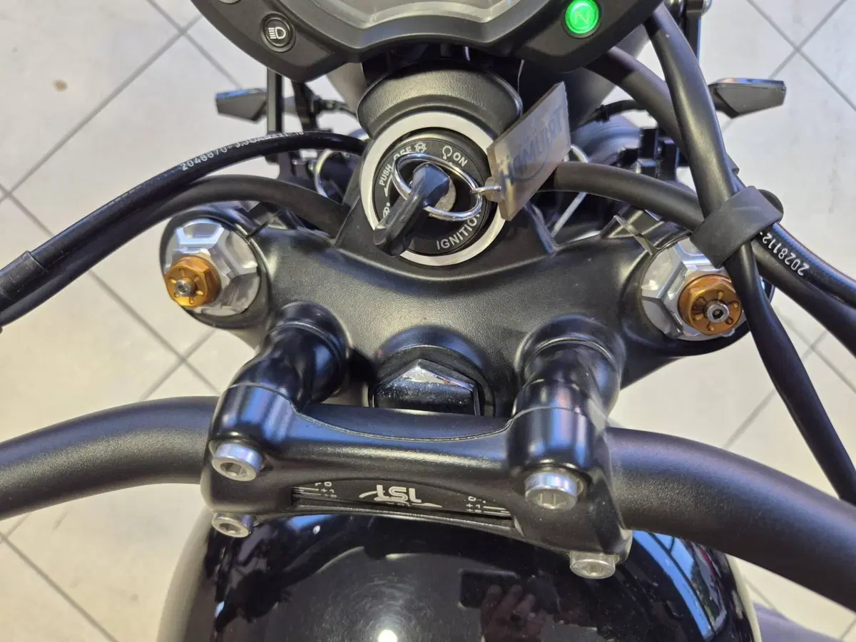 Triumph Street Scrambler 900 (2017 - 18) (15)