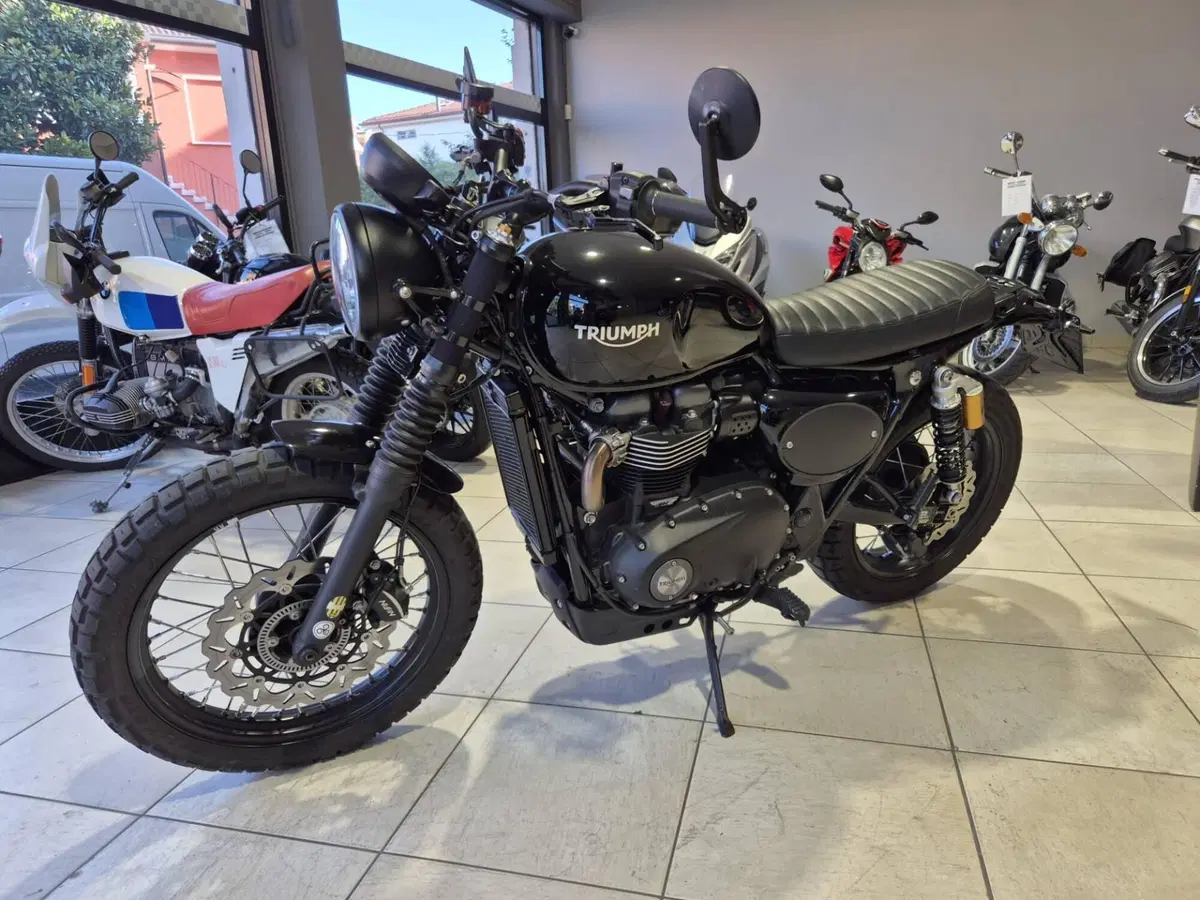 Triumph Street Scrambler 900 (2017 - 18) (6)