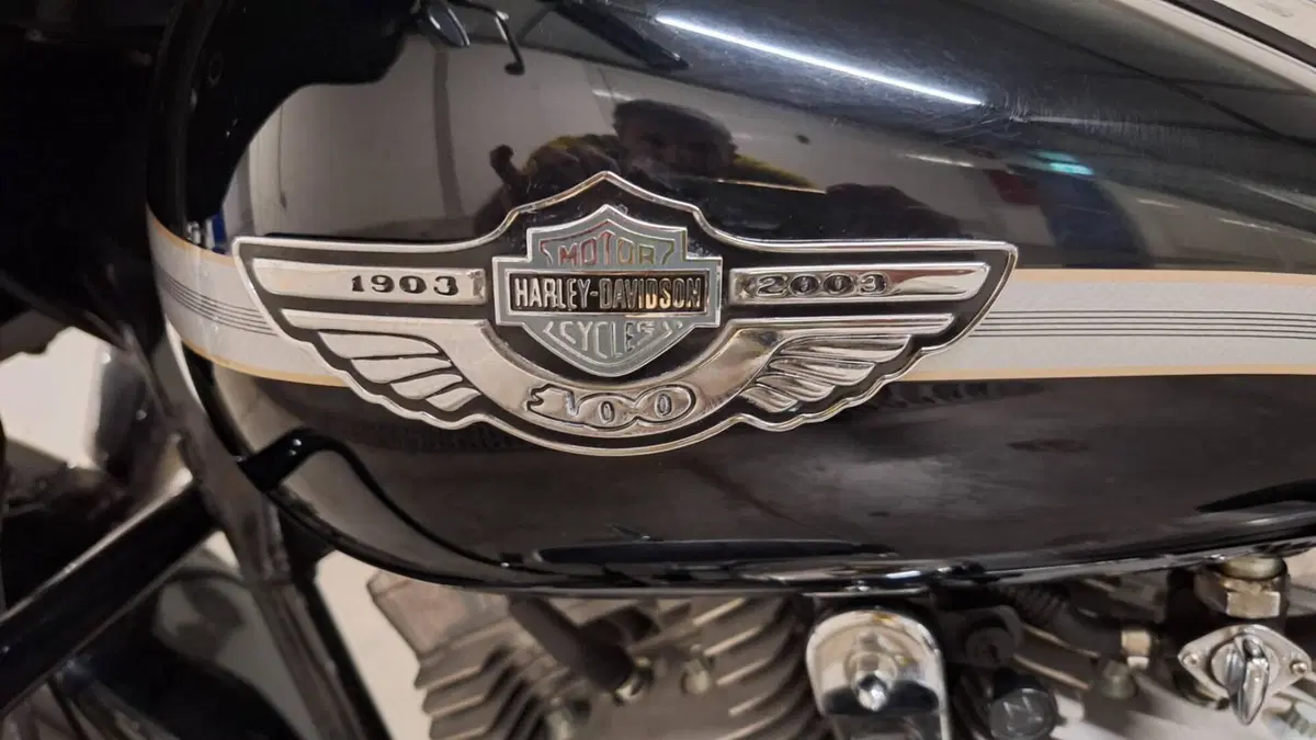 Harley-Davidson 1450 Electra Glide Standard (2002 - 09) - FLHTC (4)